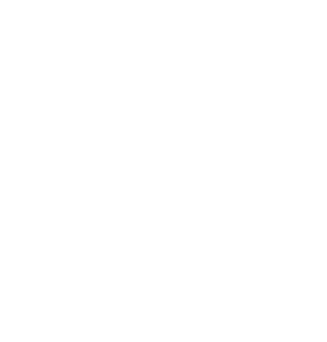 The Remnant Co